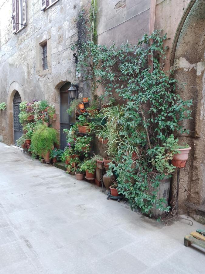 La Casa Di Sally Pitigliano Exterior foto